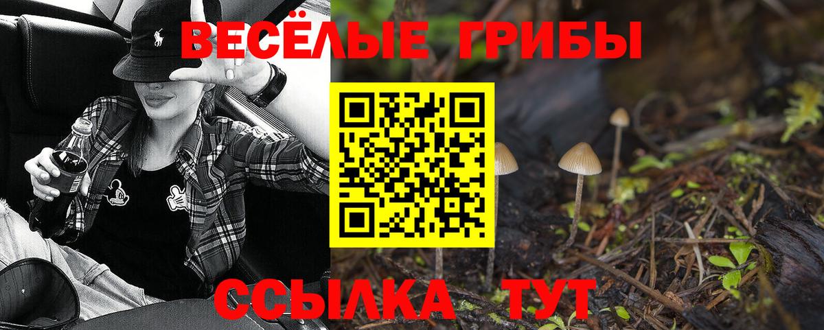 Галлюциногенные грибы мицелий  где найти   Кушва  Вход с VPN 